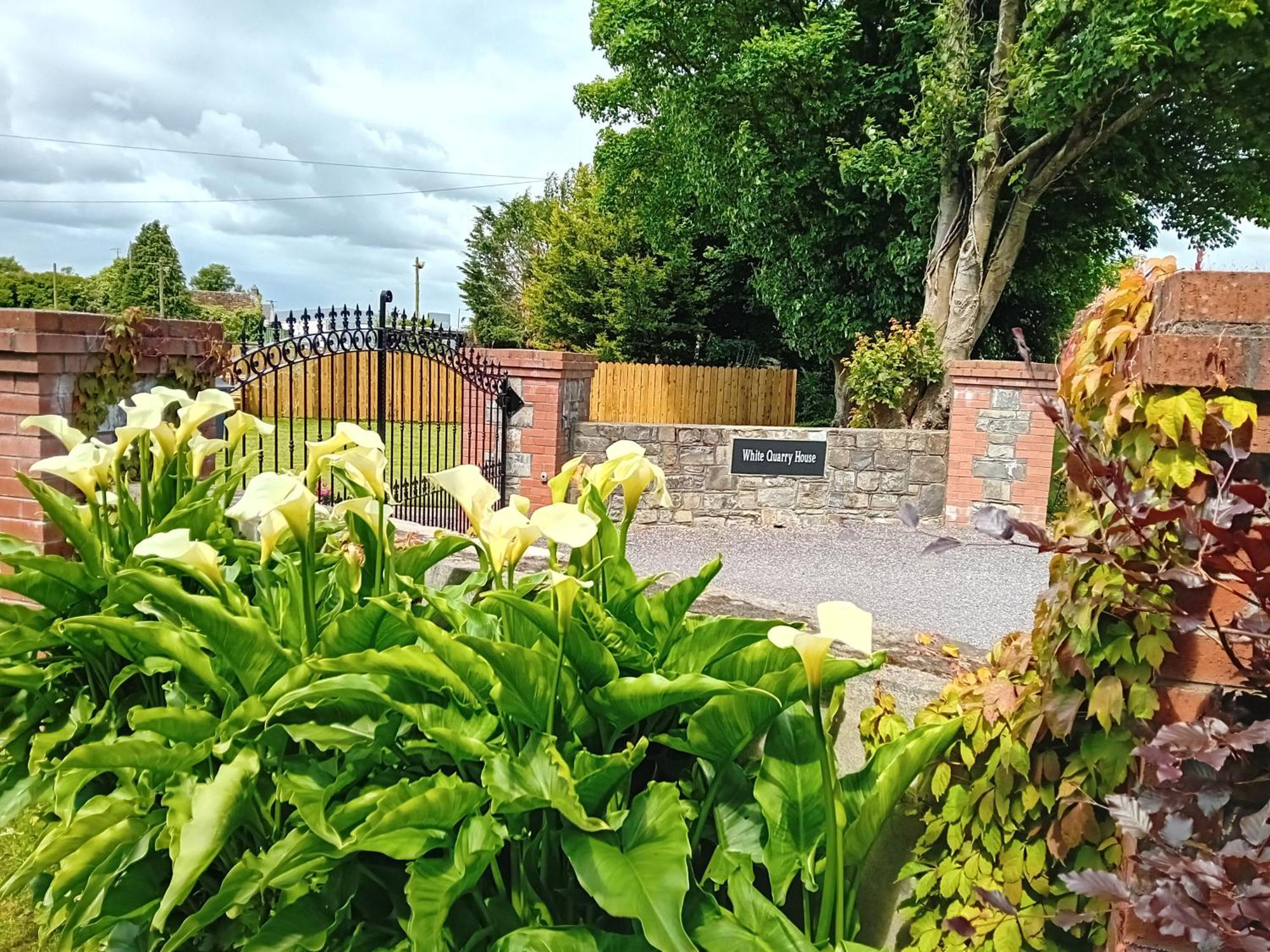 Apartmán White Quarry House Navan Exteriér fotografie